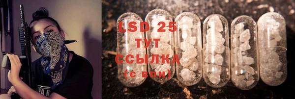 прущие грибы Алексеевка