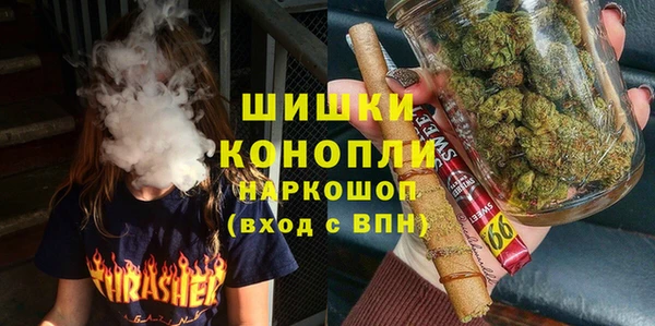 прущие грибы Алексеевка
