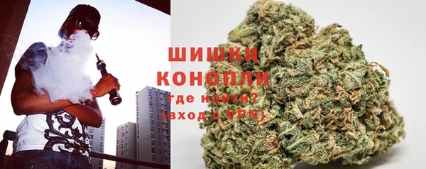 прущие грибы Алексеевка