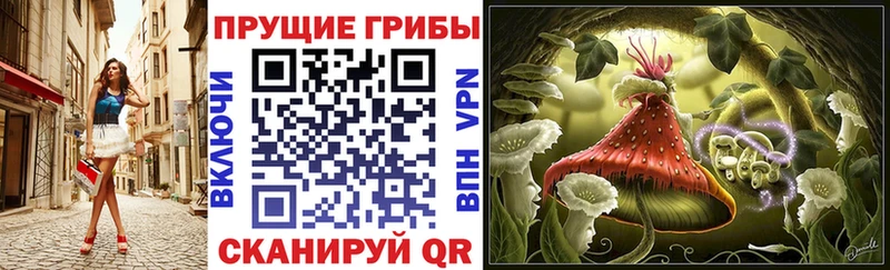 мега ссылка  Санкт-Петербург  Галлюциногенные грибы Psilocybe 