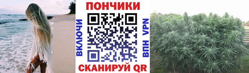 Бошки Шишки индика даркнет сайт Санкт-Петербург